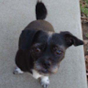 Meet your Posher, Haley